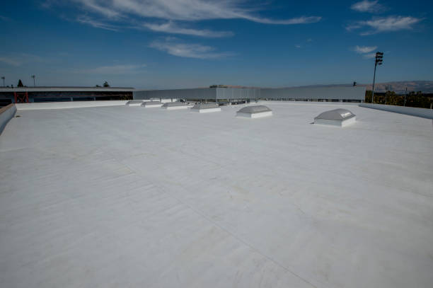 Best Green or Eco-Friendly Roofing Solutions  in Tower Lakes, IL