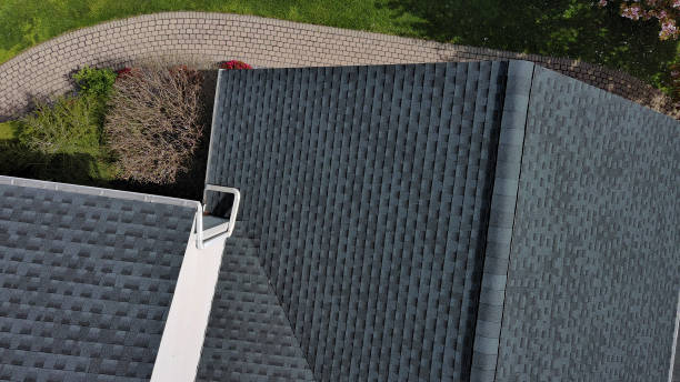 Best Roof Insulation Installation  in Tower Lakes, IL