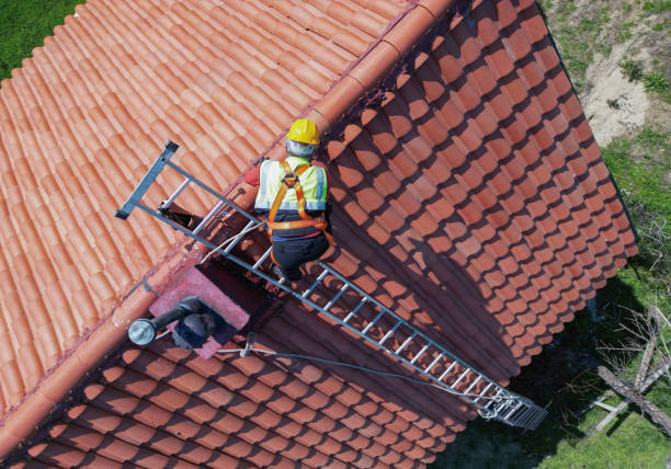 Best Asphalt Shingle Roofing  in Tower Lakes, IL