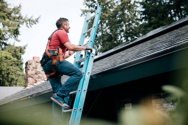 Best Metal Roofing Installation  in Tower Lakes, IL