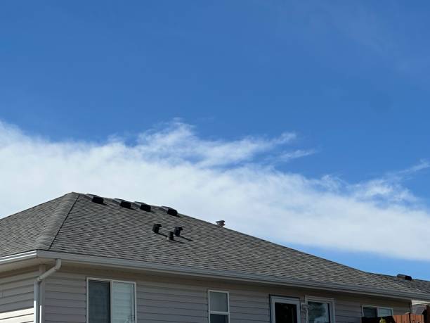 Best Solar Panel Roofing Installation  in Tower Lakes, IL